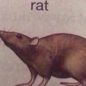 Meet your Posher, Cassandra